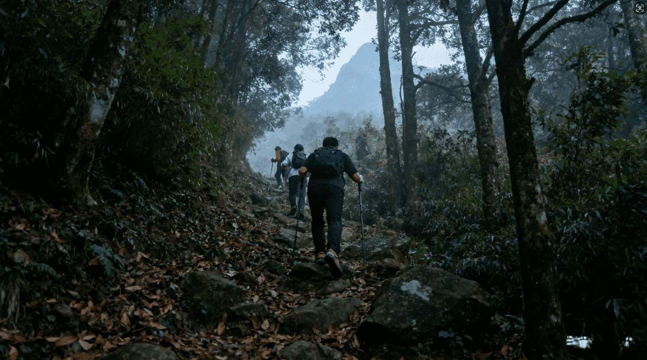 全面教程：教你快速便捷地更改天行加速器密码的方法与步骤